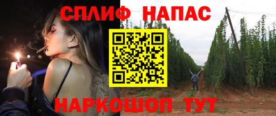 сатива Ставрополь