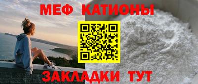 сатива Ставрополь