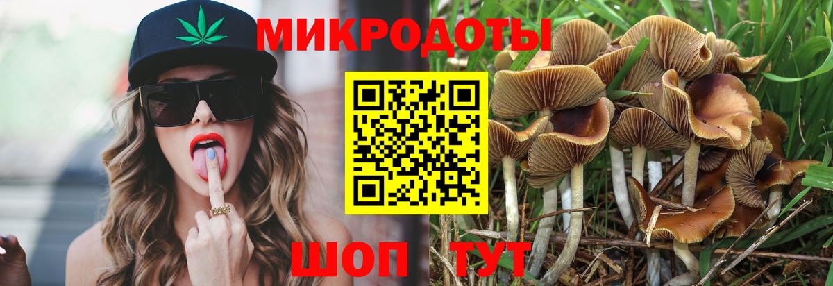 Галлюциногенные грибы Psilocybine cubensis  Вход с VPN  Псилоцибиновые грибы прущие грибы  Усолье-Сибирское 